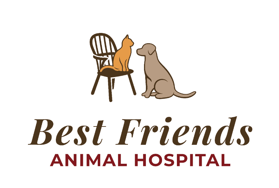 Best Friends Animal Hospital logo