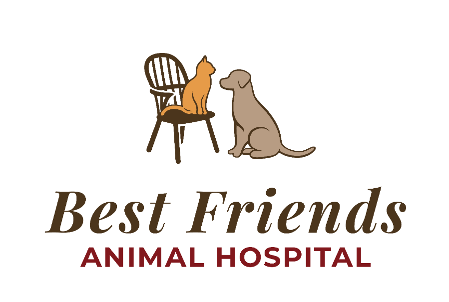 Best Friends Animal Hospital logo