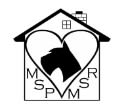 Minneapolis Schnauzer Rescue logo