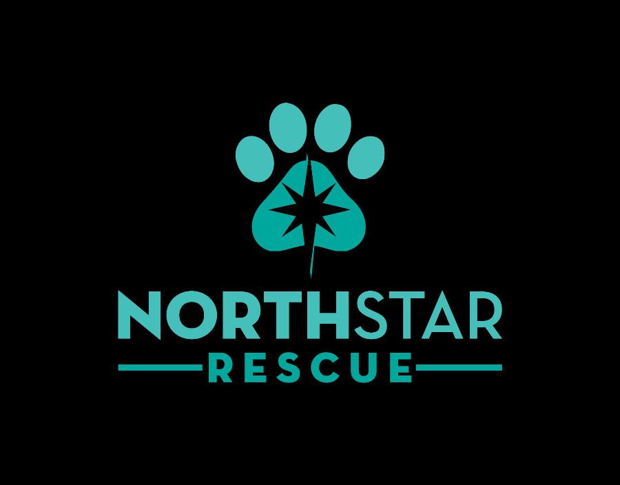 North Star Rescue Inc. logo