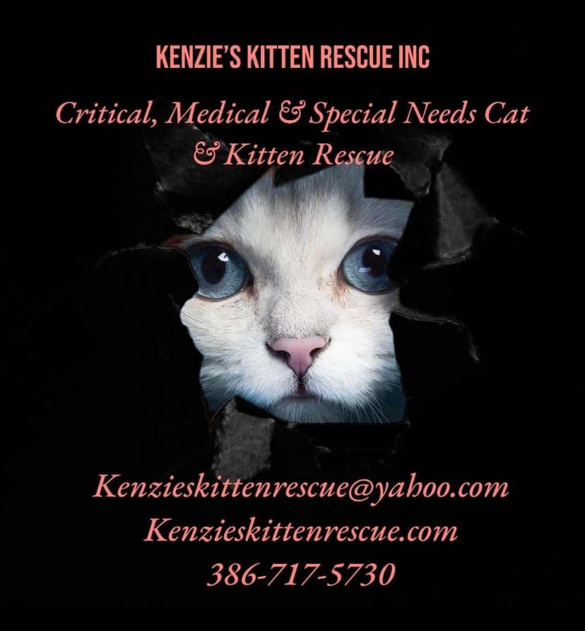 Purrfectly Wonky Animal Rescue logo