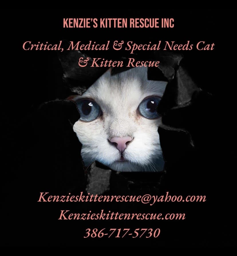 Purrfectly Wonky Animal Rescue logo