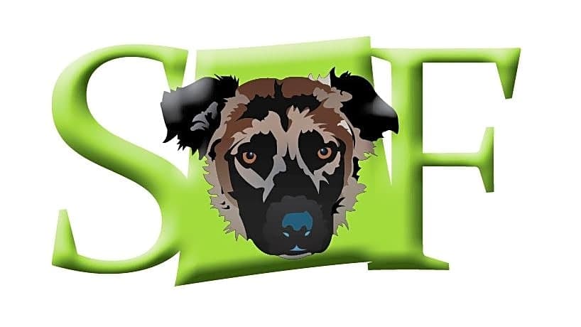 The Simon Foundation INC logo