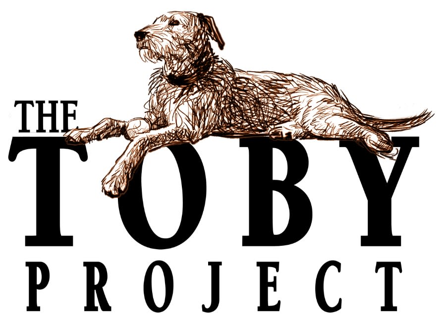 City Veterinary Care logo