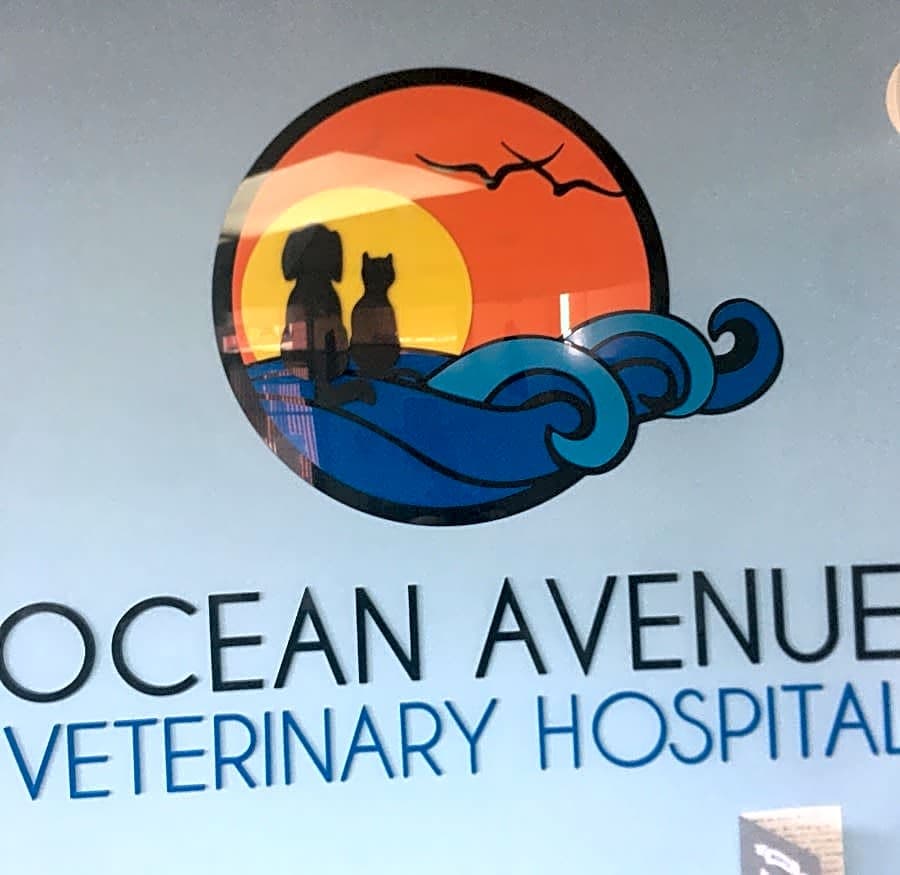 Ocean Avenue Veterinary Hospital logo