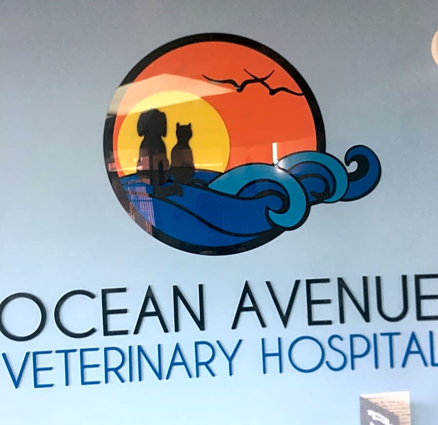 Ocean Avenue Veterinary Hospital logo