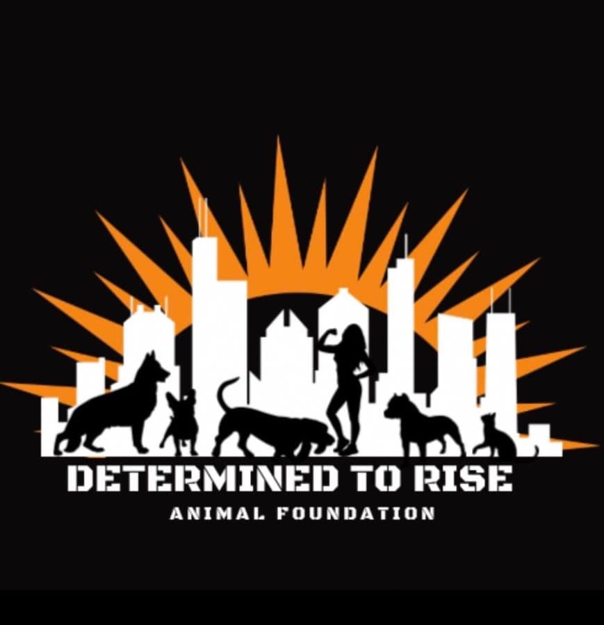 Determined To Rise Animal Foundation logo