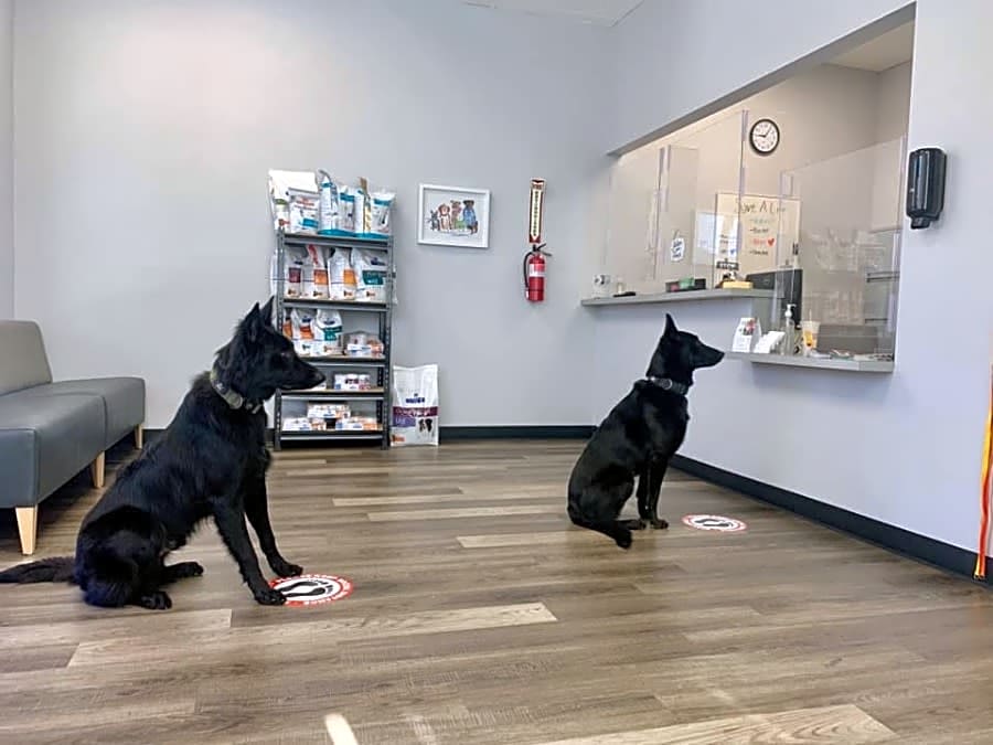 Leave No Paws Behind Veterinary Clinic logo