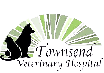 Townsend Veterinary Hospital logo