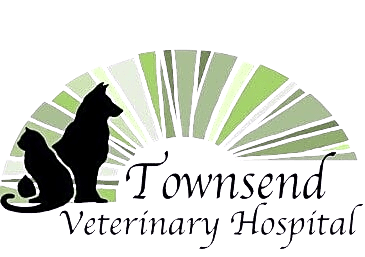 Townsend Veterinary Hospital logo