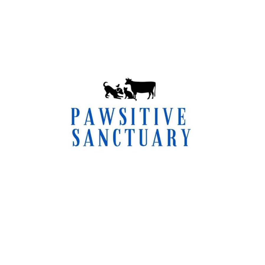 Pawsitive Sanctuary Inc logo