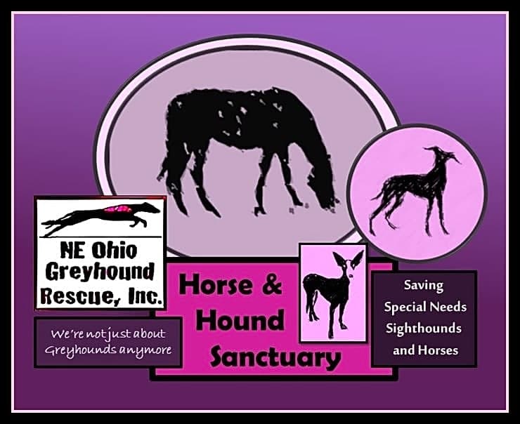 NE Ohio Greyhound Rescue logo