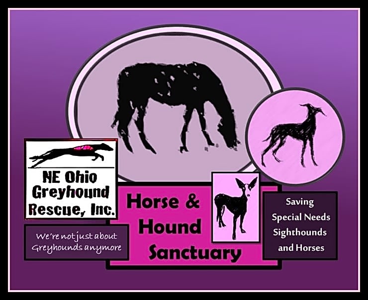NE Ohio Greyhound Rescue logo