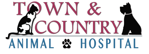 Town & Country Animal Hospital logo