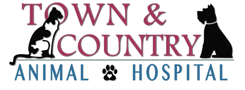 Town & Country Animal Hospital logo