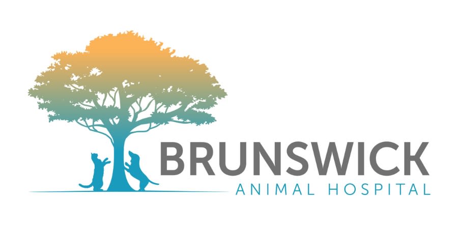 Brunswick Animal Hospital logo