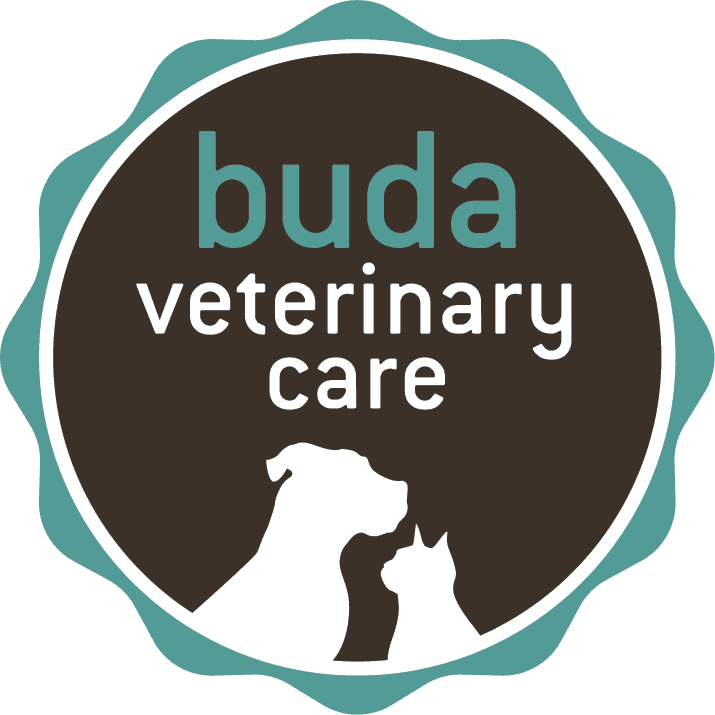 Buda Veterinary Care logo