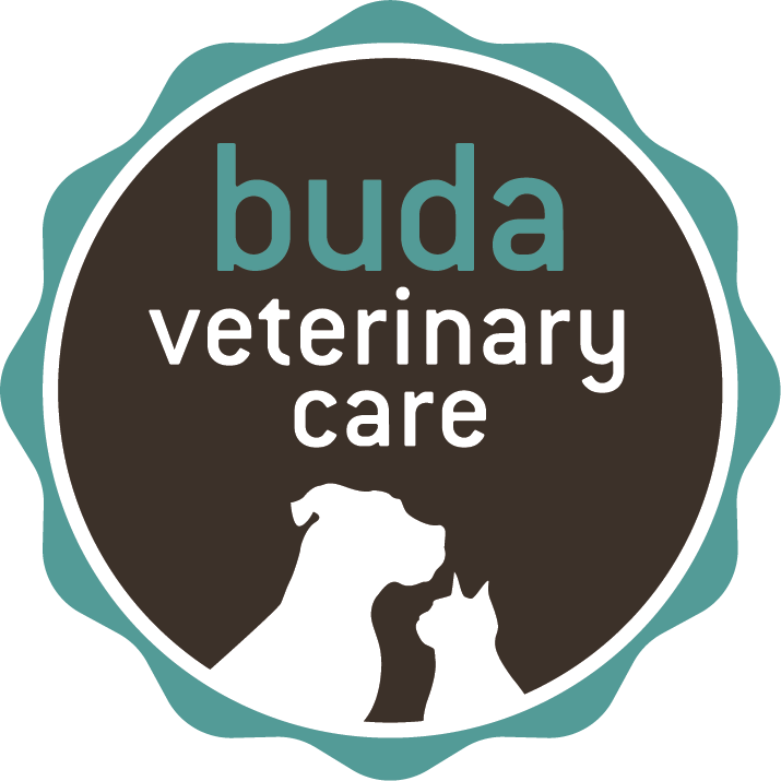Buda Veterinary Care logo