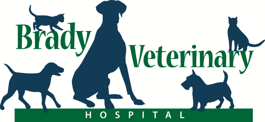 Brady Veterinary Hospital logo