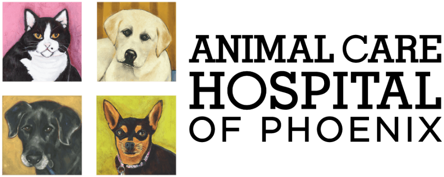 Animal Care Hospital of Phoenix logo