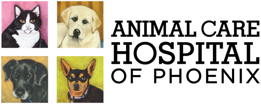 Animal Care Hospital of Phoenix logo