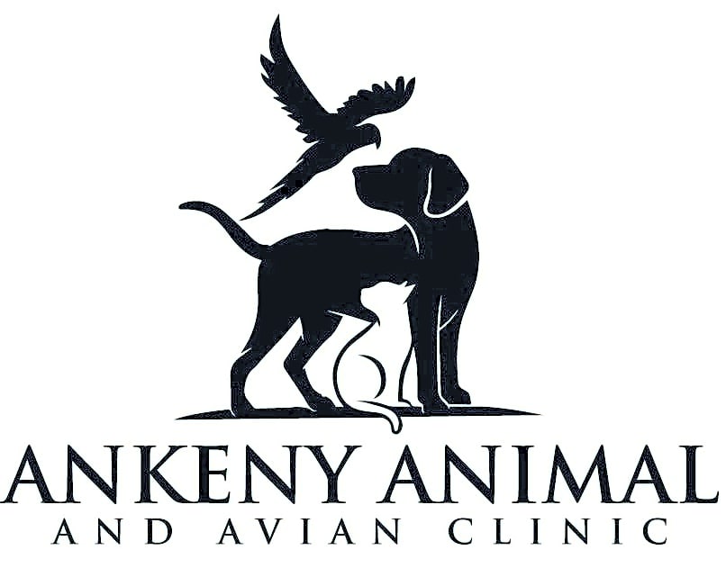 Ankeny Animal & Avian Clinic logo
