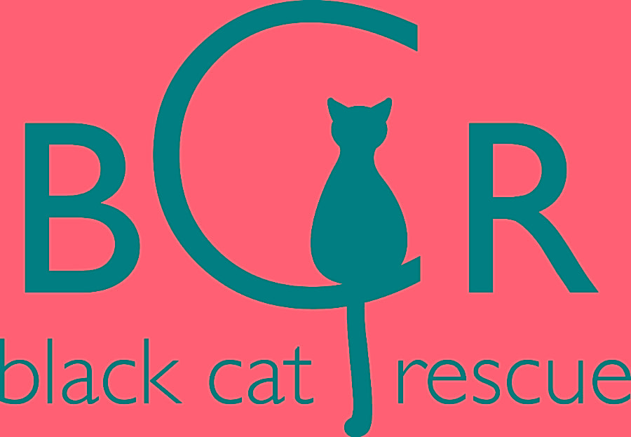 Black Cat Rescue logo