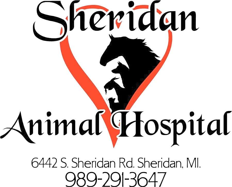 Sheridan Animal Hospital Inc logo