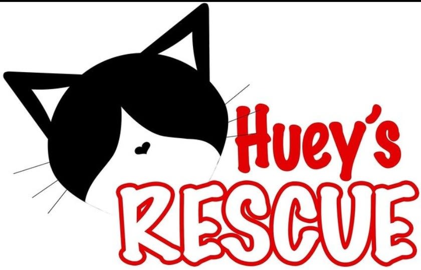 Huey's Rescue logo