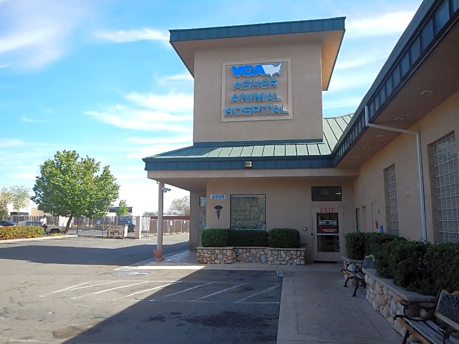 VCA Asher Animal Hospital logo