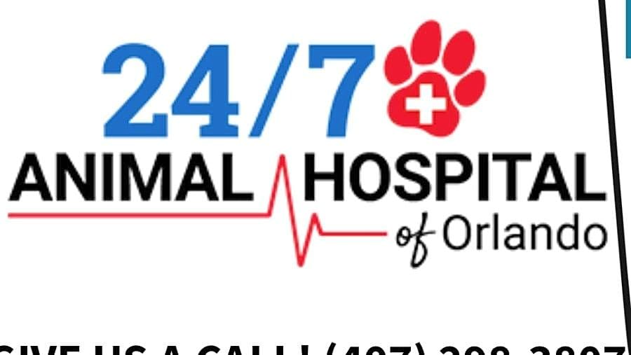 24/7 Animal Hospital of Orlando logo