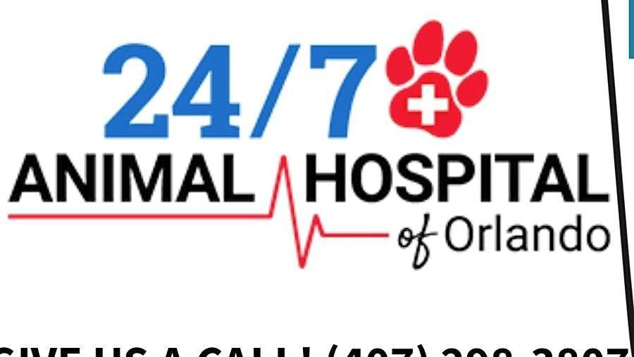 24/7 Animal Hospital of Orlando logo