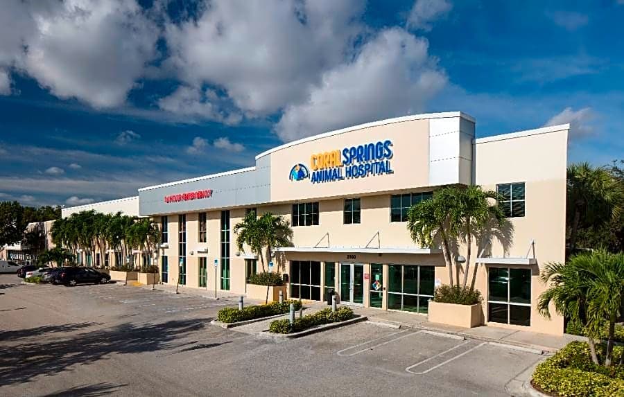 Coral Springs Animal Hospital logo