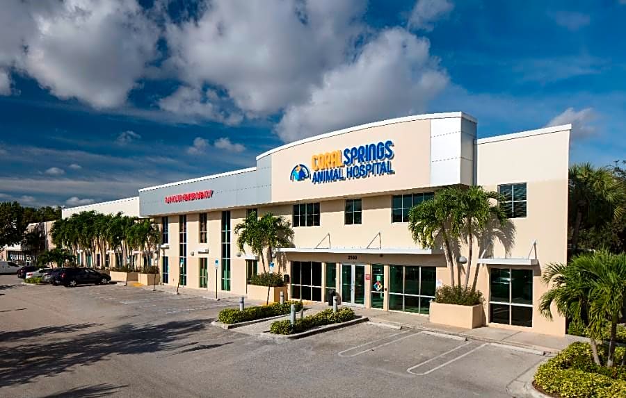 Coral Springs Animal Hospital logo