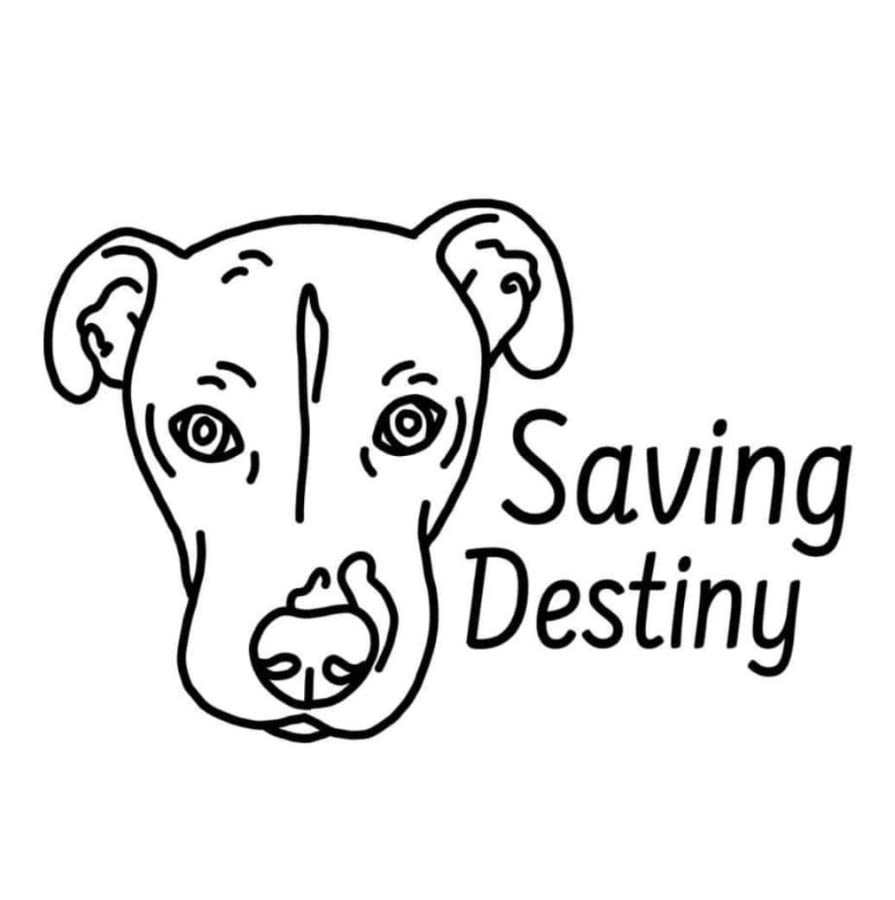 Saving Destiny Animal Rescue logo