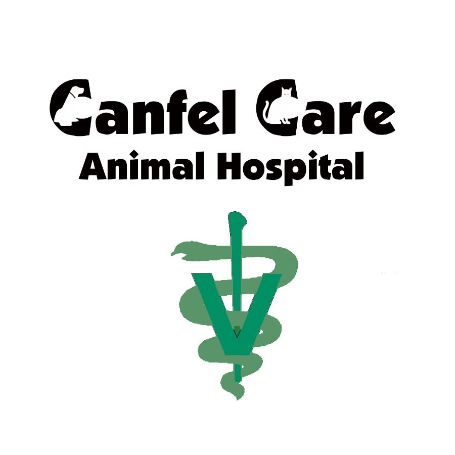 Canfel Care Animal Hospital logo