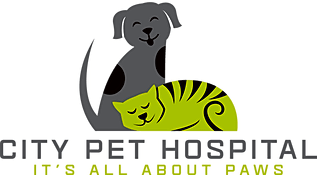 City Pet Hospital logo