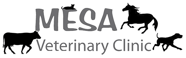 Mesa Veterinary Clinic logo