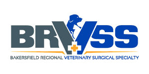 BRVSS logo