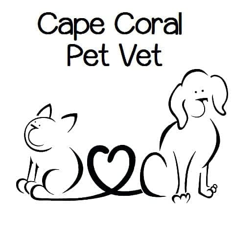 Cape Coral Pet Vet logo