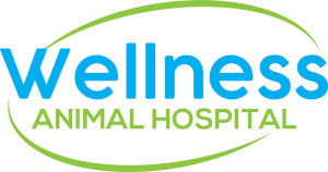 Wellness Animal Hospital Lakewood Ranch logo