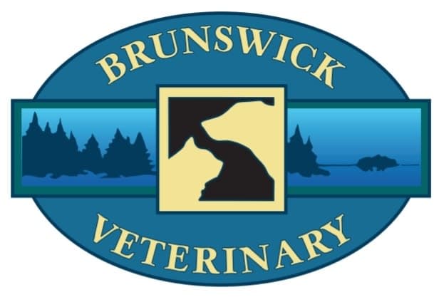 Brunswick Veterinary Clinic logo