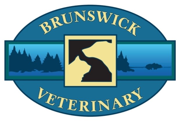 Brunswick Veterinary Clinic logo