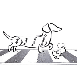 Abbey Road Rescue Sanctuary logo