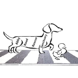 Abbey Road Rescue Sanctuary logo