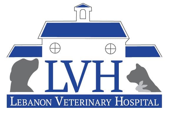 Lebanon Veterinary Hospital logo