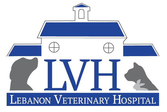 Lebanon Veterinary Hospital logo
