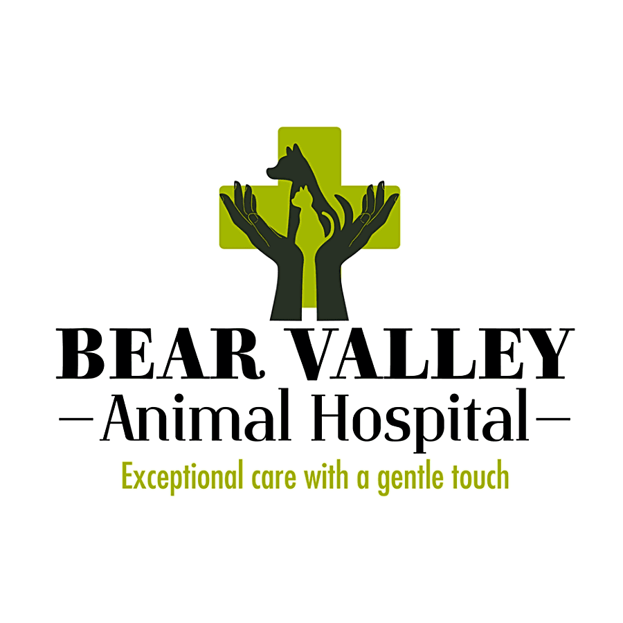Bear Valley Animal Hospital logo
