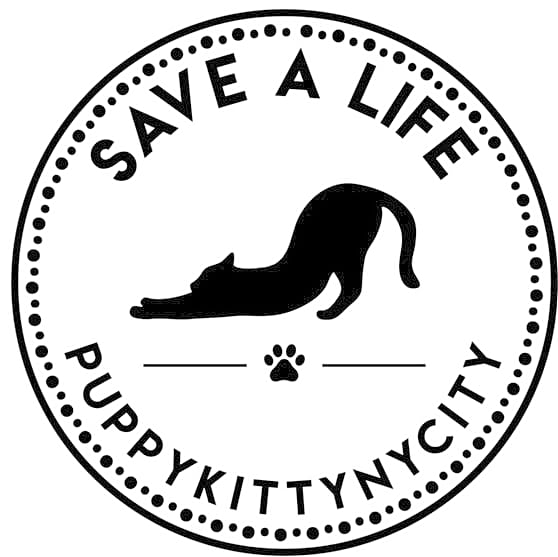 PuppyKittyNYCity logo