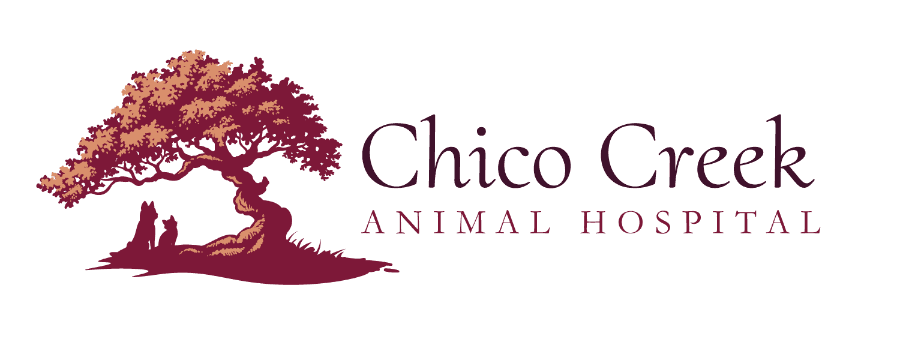 Chico Creek Animal Hospital logo